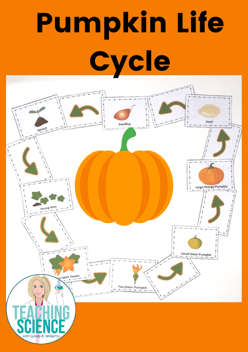 Pumpkin Life Cycle