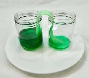 Science Experiment for Kids Walking Water Lab