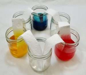 Easy Science Experiment for Kids Walking Water Experiment