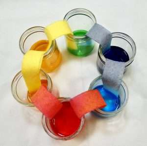 Colorful science experiment walking water science experiment for kids