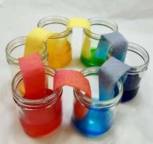 Walking Water Experiment Capillary Action