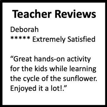 Life Cycle of a Sunflower - Image 2