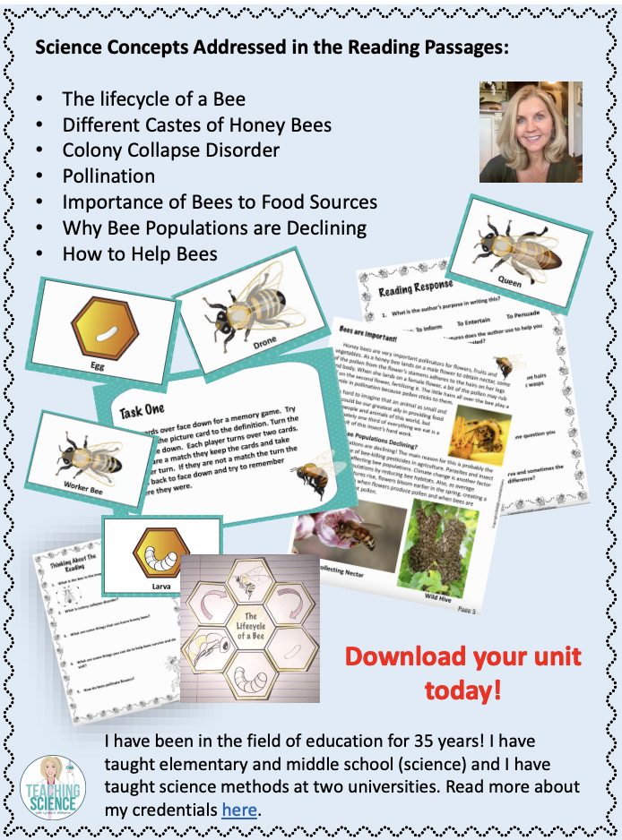 Life Cycle of Honey Bee
