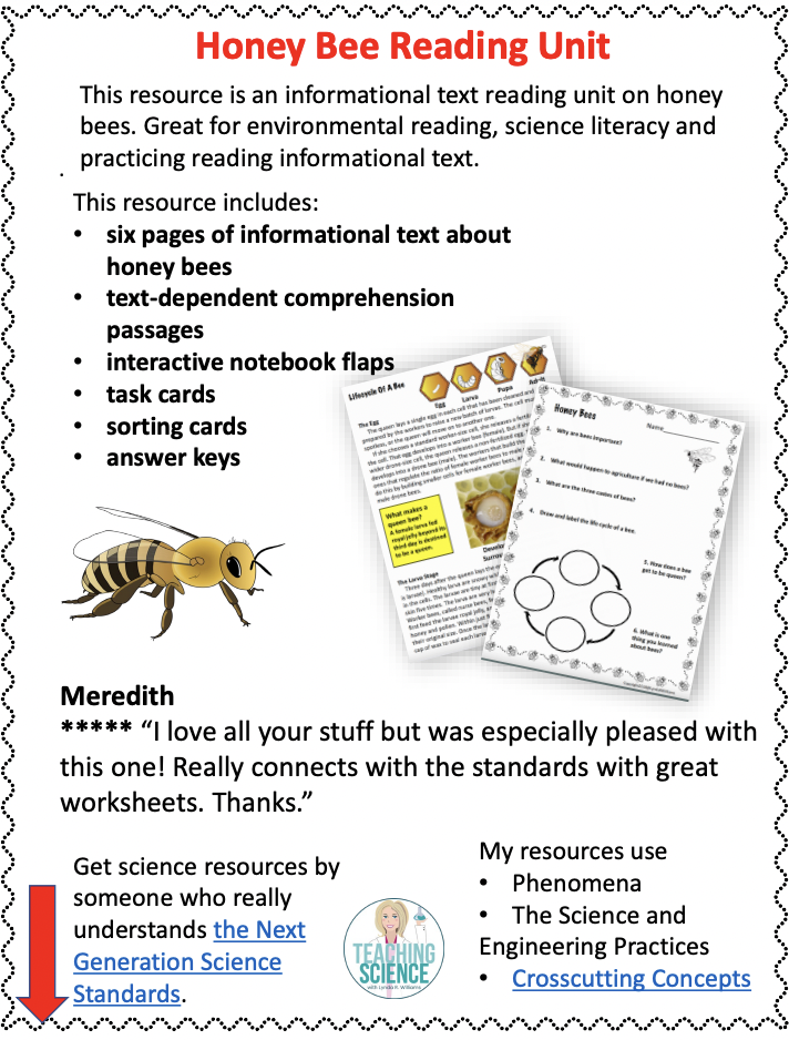 Life Cycle of Honey Bee