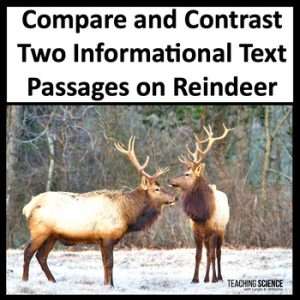 Reindeer