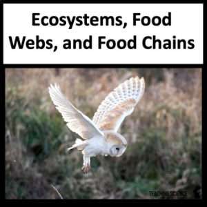 Food Webs