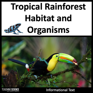 rainforest habitat