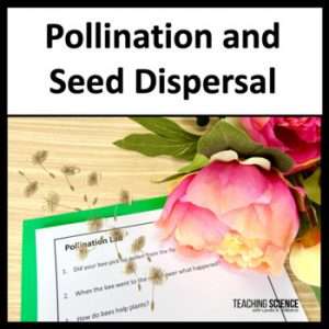 Seed Dispersal and Pollination Unit for Second Grade