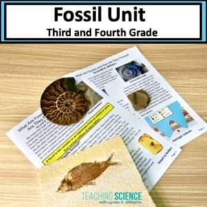Fossil Close Reading and Hands-on Unit NGSS 3-LS4-1 and 4-ESS1-1