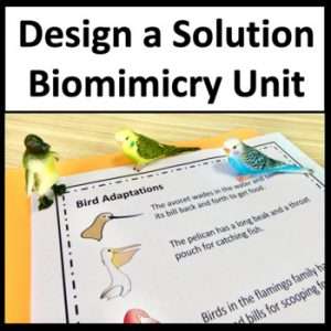 Designing a Solution to a Human Problem by Mimicking an Animal or Plant Part
