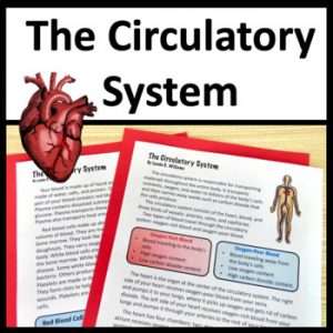 Circulatory System Unit NGSS MS-LS1-3