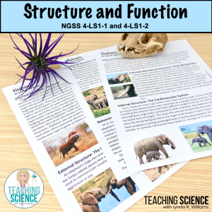 structure and function