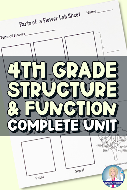 structure and function