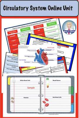 Circulatory System Unit