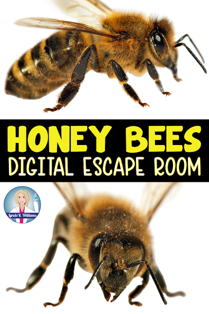 Honey Bee Digital Escape Room