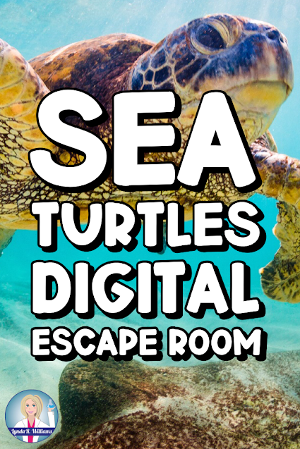 sea turtles digital escape room