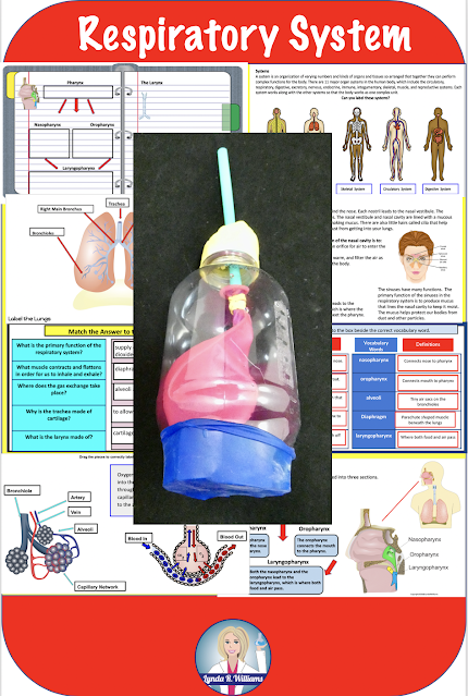 Respiratory