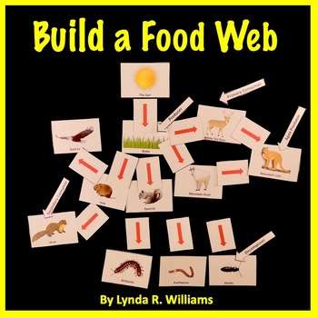 Build A Food Web