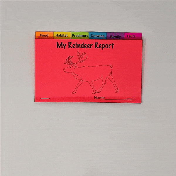 reindeer informational text