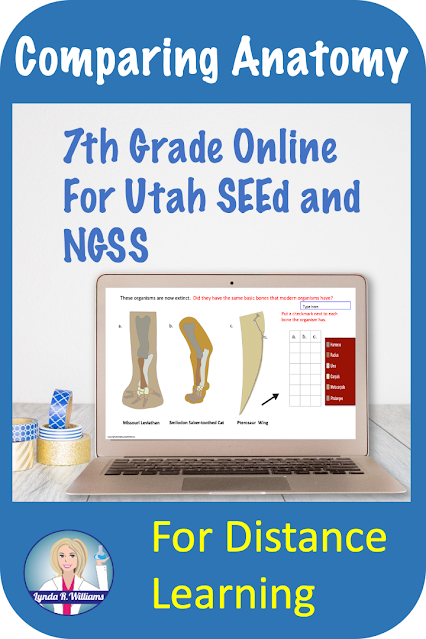 comparing embryology comparing anatomy