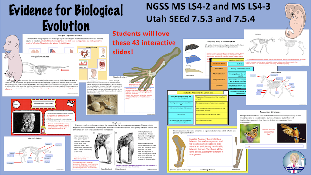 NGSS Middle School Science Unit Comparative Embryology and Anatomy