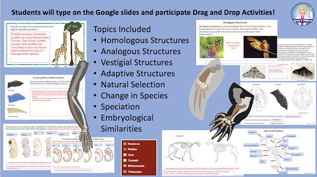 Comparative Anatomy and Embryology Interactive Slides forr google Classroom Online Unit