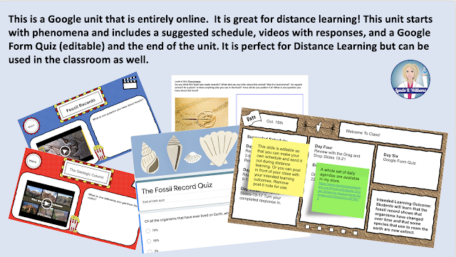Patterns in the Fossil Record NGSS Science Unit