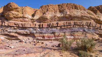 Geologic Column