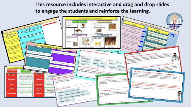 Interactive Drag and Drop slides for google Classroom