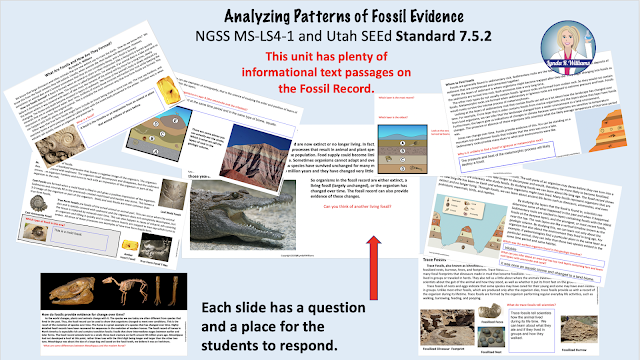 Patterns in the Fossil Record