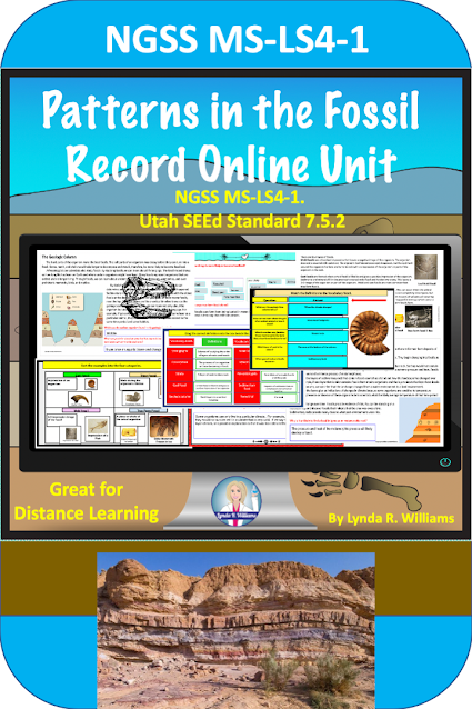 Patterns in the Fossil Record for Middle School Science
