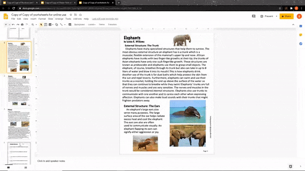 worksheets on adaptations middle school