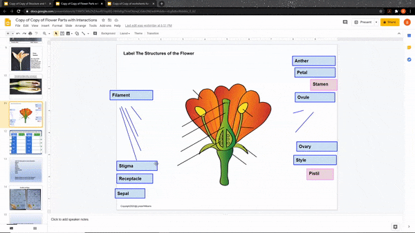 drag and drop slide flower parts