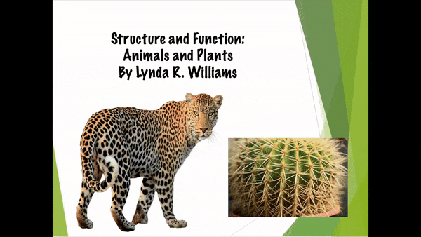 Slide show on animal and plant adaptations