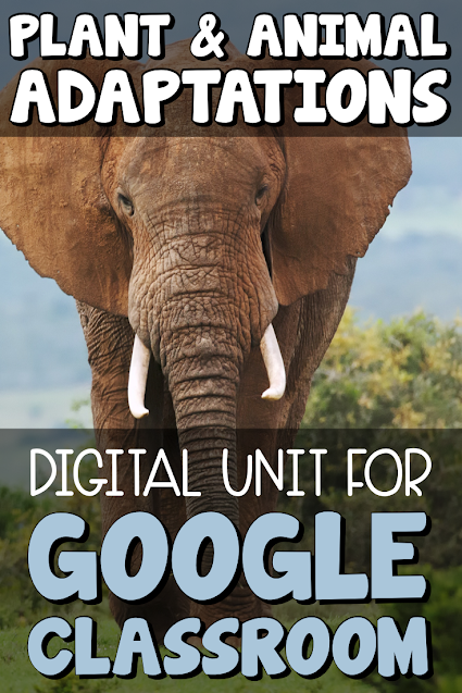 Plant and animal adaptations Middle school unit
