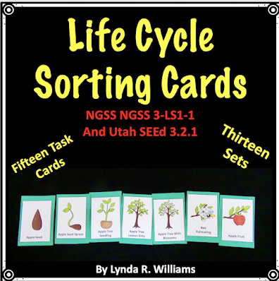 life cycle of a sorting cards third grade science