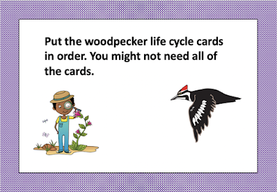 task cards third grade science task cards third grade science