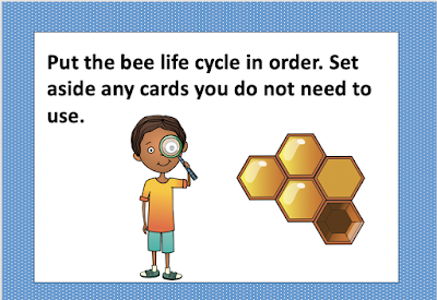 task cards third grade science task cards third grade science