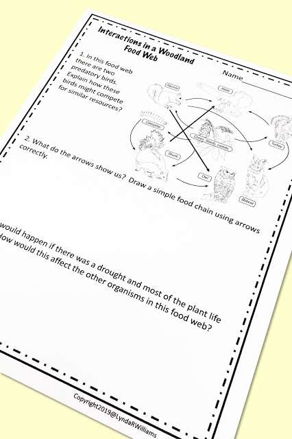 ecosystem diagrams