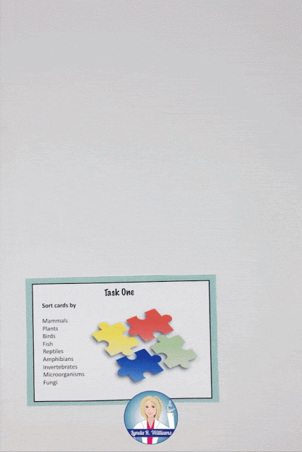 ecosystem and food web activities