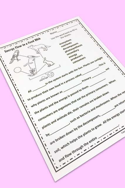 ecosystems worksheet