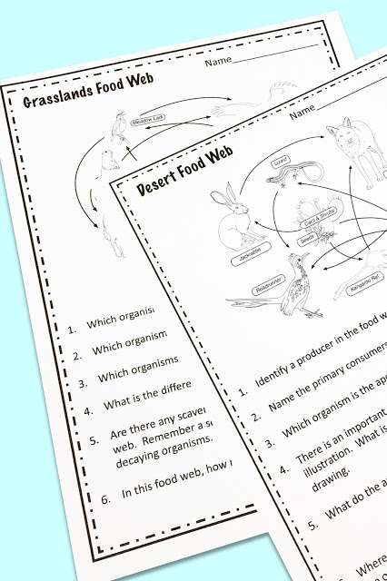 energy flow in ecosystems