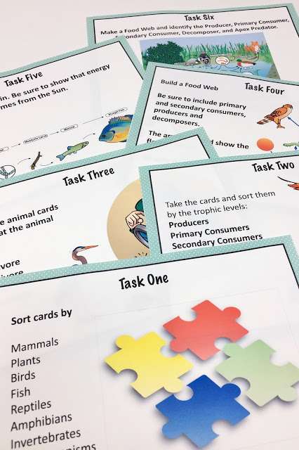 ecosystems task cards ecosystems worksheets