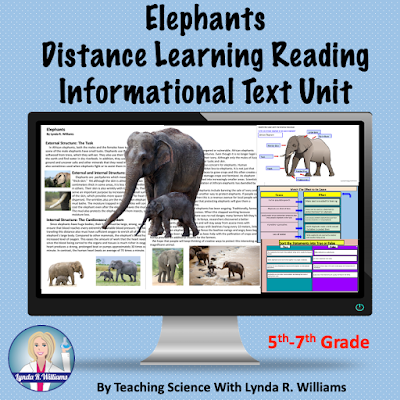 Elephants Informational Text Passages