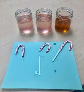 Dissolving candy canes science experiment