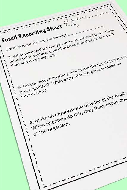 fossil evidence