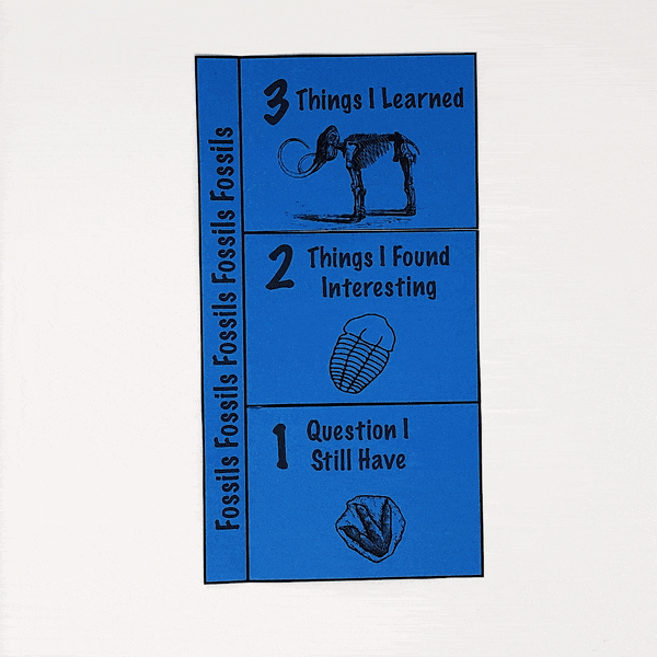 foldable for fossils