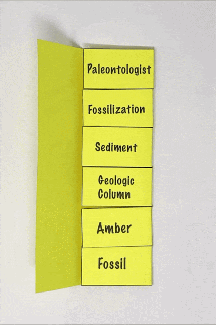 foldable for fossils