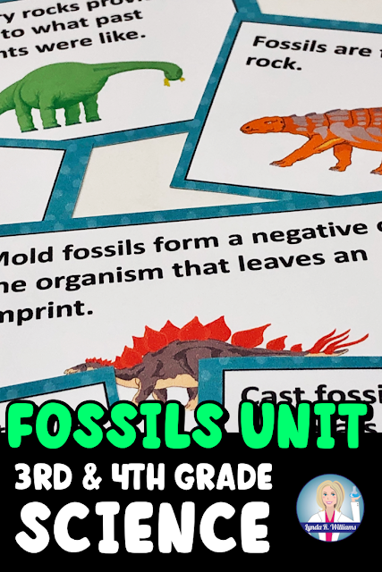 Fossils Unit for Third and Fourth Grade
