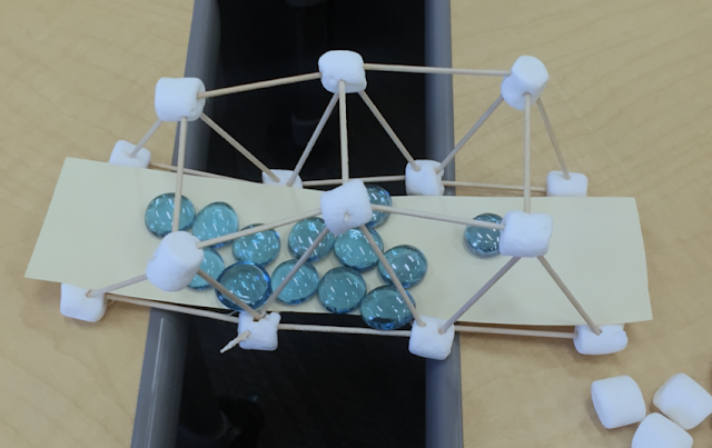 stem education for elementary